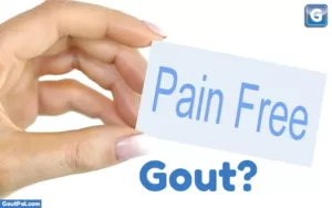 Pain Free Gout