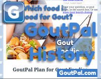Gout Foodie Document Revision History