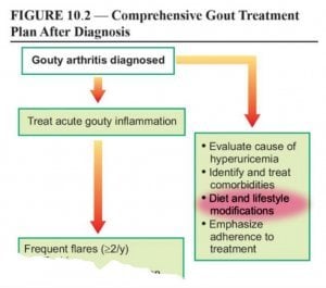 Gout Diet is part of Management Plan