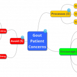 Gout Patient Concerns Map with notes